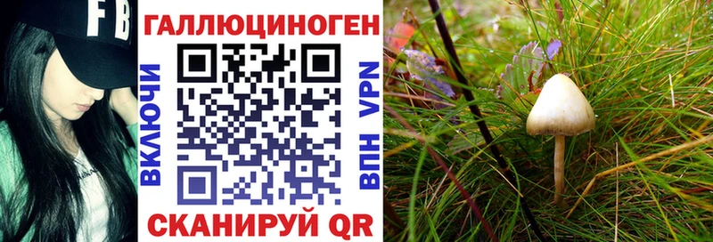 ссылка на мегу маркетплейс Бодайбо Псилоцибиновые грибы мицелий